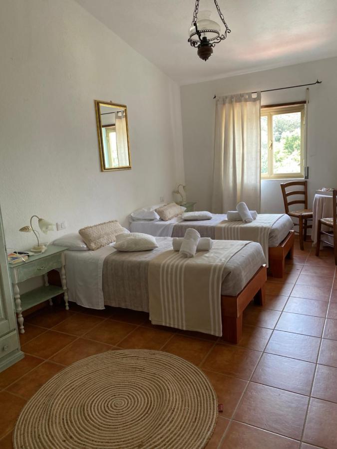 B&B La Pitraia Sant'Antonio di Gallura Esterno foto