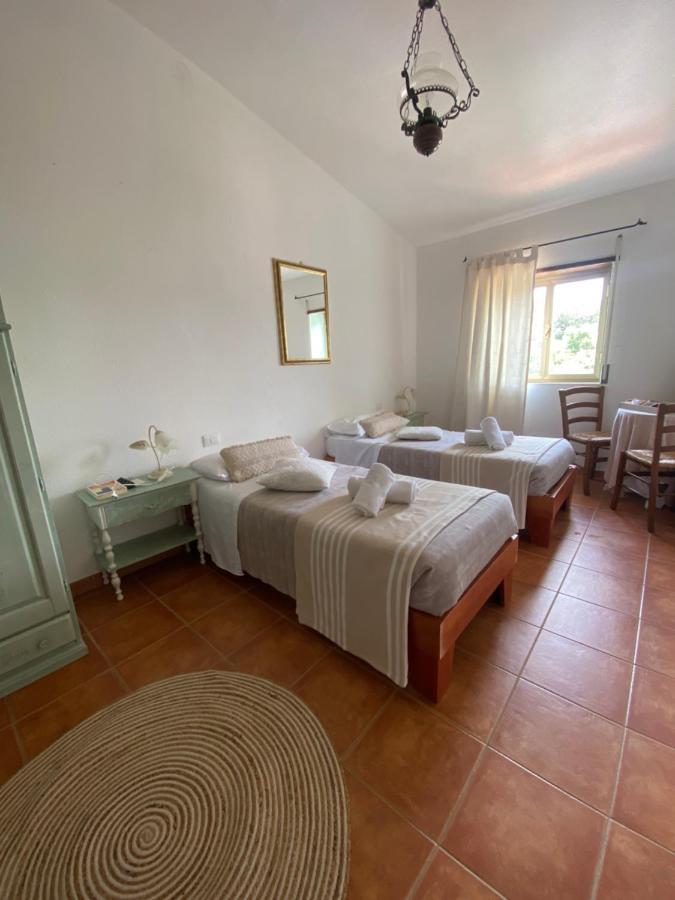 B&B La Pitraia Sant'Antonio di Gallura Esterno foto